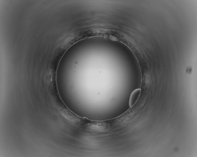 X0000094430567200711151344