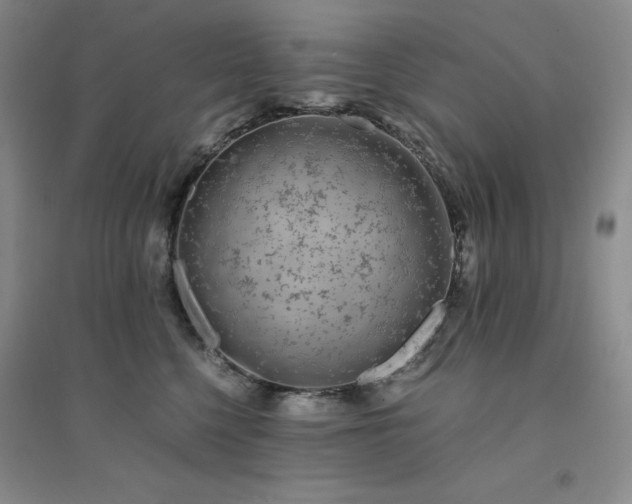X0000094430568200711151344