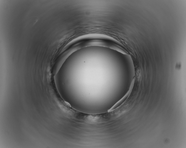 X0000094430570200711151344