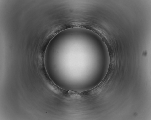 X0000094430572200711151344