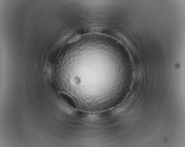 X0000094430573200711151344