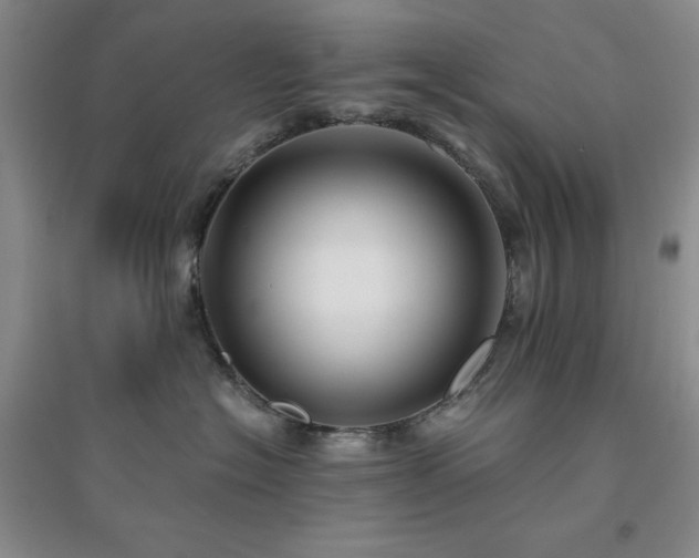 X0000094430574200711151344