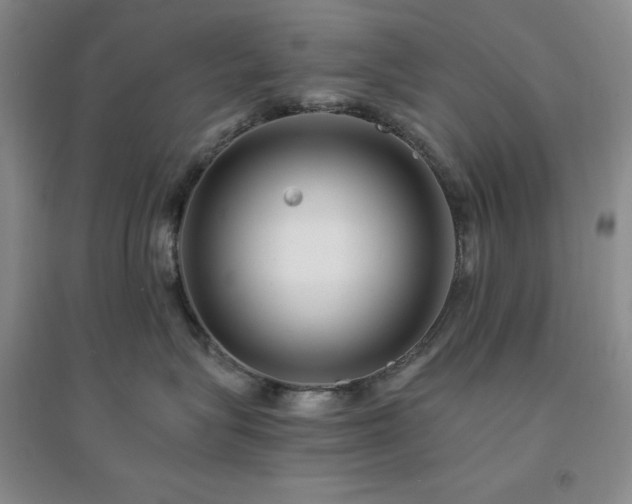 X0000094430575200711151344