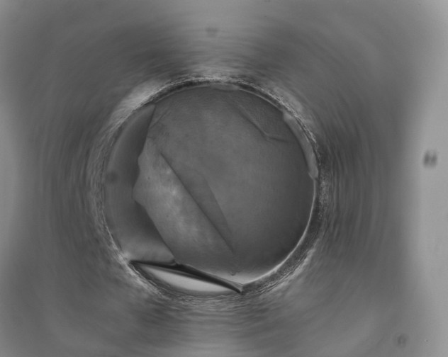 X0000094430577200711151344