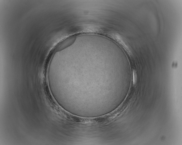 X0000094430579200711151344