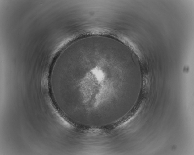 X0000094430581200711151344