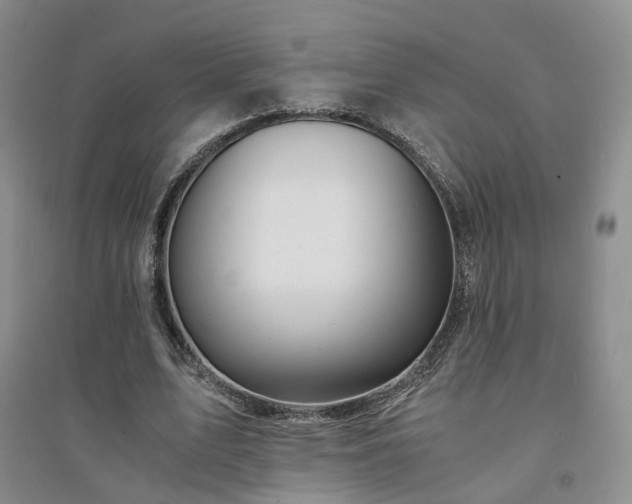 X0000094430583200711151344