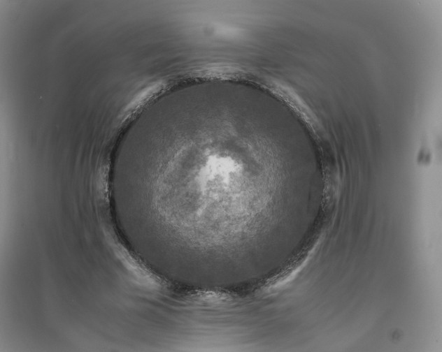 X0000094430585200711151344