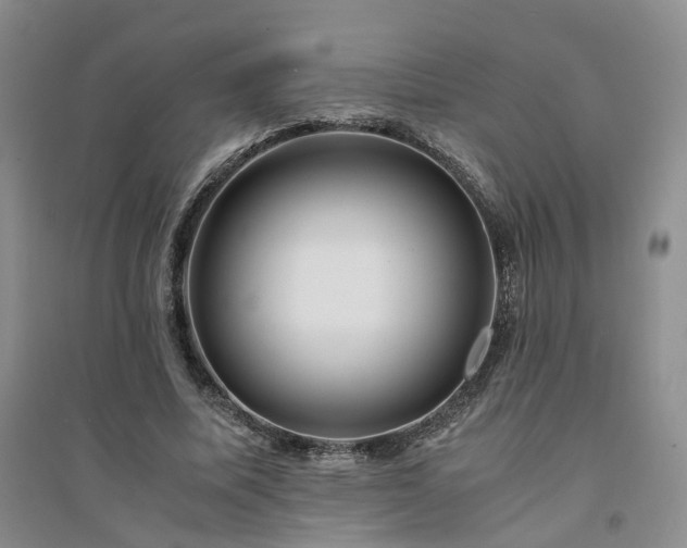 X0000094430587200711151344