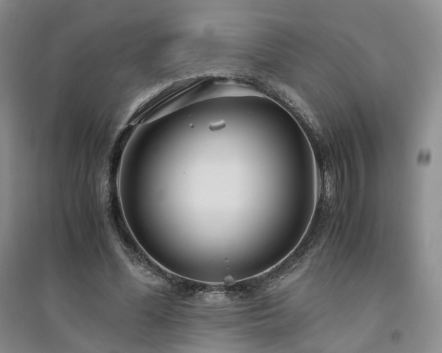 X0000094430588200711151344