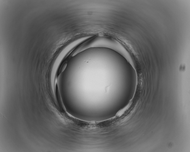 X0000094430589200711151344