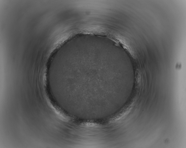 X0000094430590200711151344