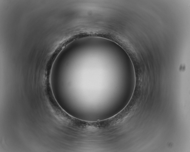X0000094430592200711151344