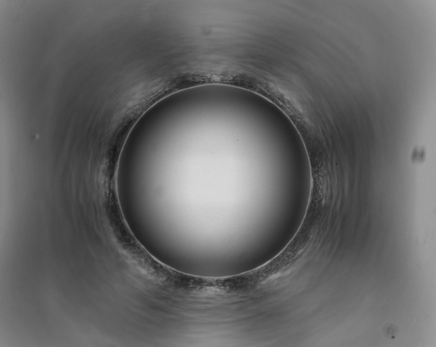 X0000094430594200711151344