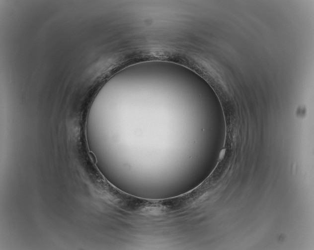 X0000094430595200711151344
