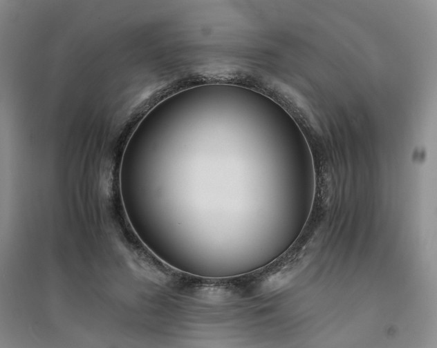 X0000094430596200711151344