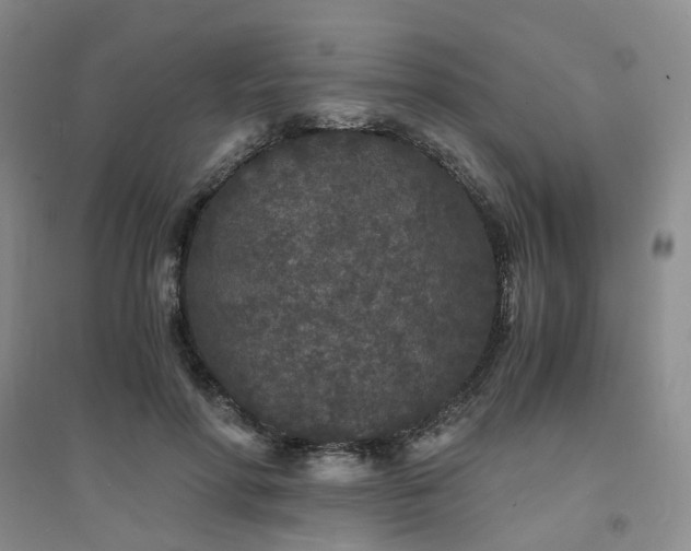 X0000094430598200711151344