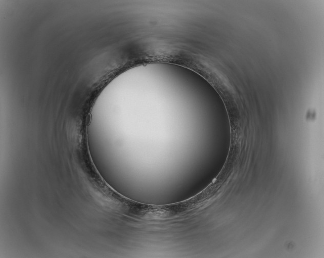X0000094430599200711151343