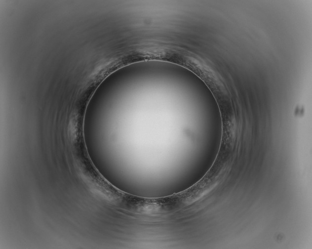 X0000094430600200711151343