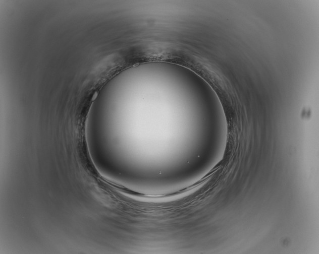 X0000094430601200711151343