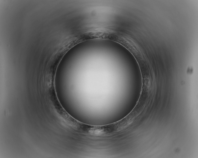 X0000094430602200711151343