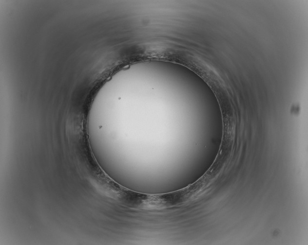 X0000094430603200711151343