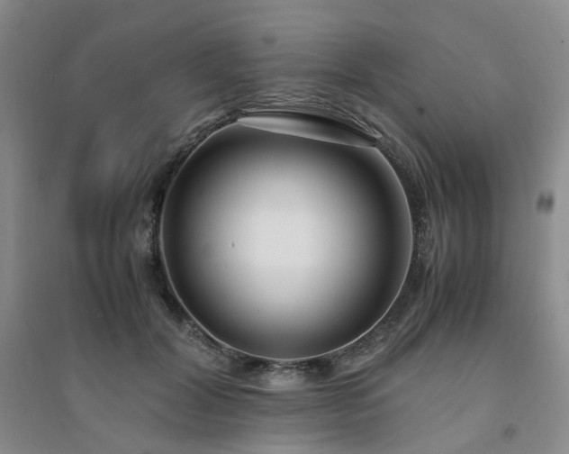 X0000094430604200711151343