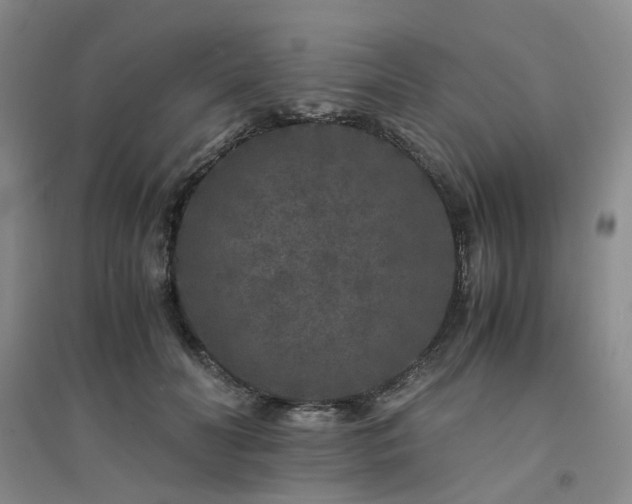 X0000094430606200711151343