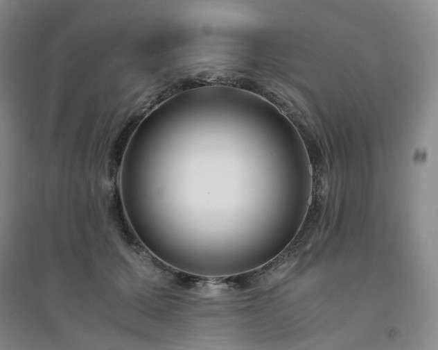 X0000094430607200711151343