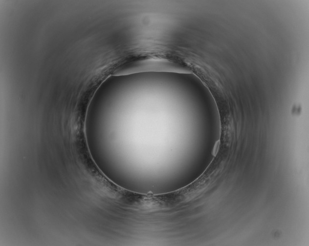 X0000094430608200711151343