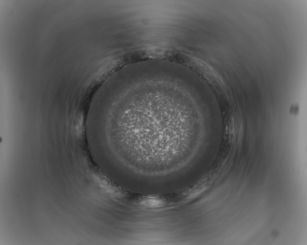 X0000094430610200711151343