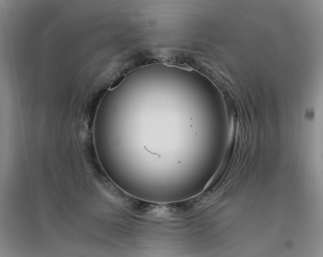 X0000094430611200711151343