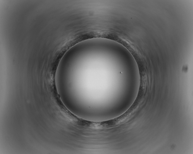 X0000094430613200711151343