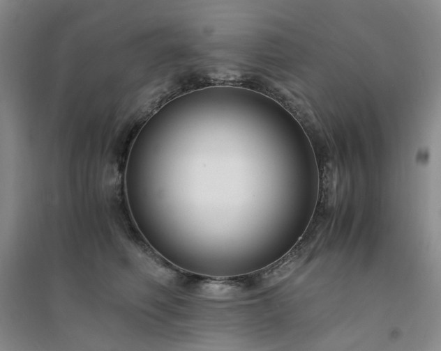 X0000094430614200711151343