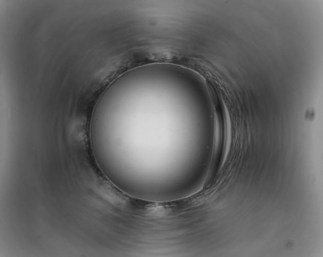 X0000094430616200711151343