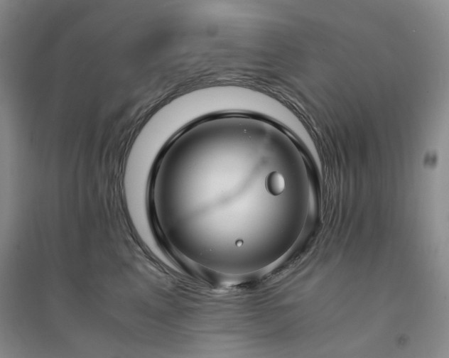 X0000094430617200711151343