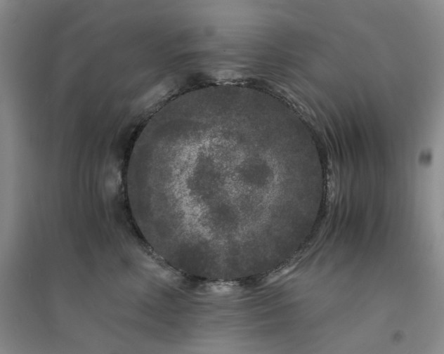 X0000094430618200711151343