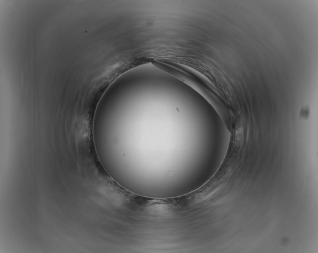 X0000094430620200711151343
