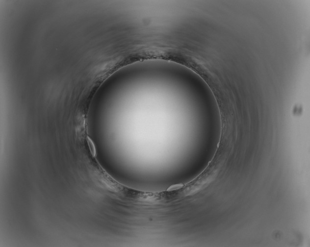 X0000094430624200711151343
