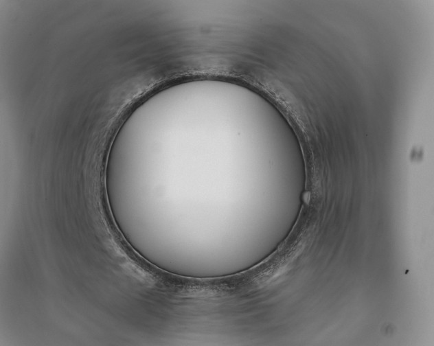 X0000094430625200711151342