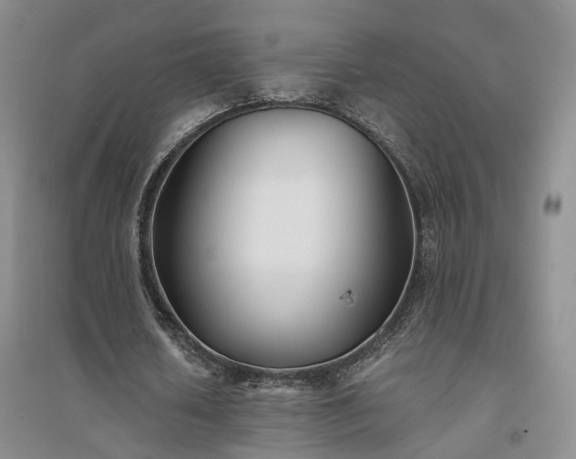 X0000094430626200711151342