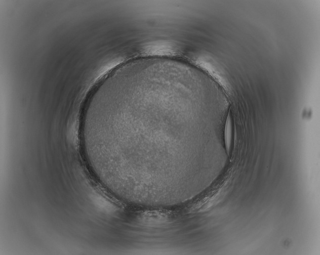 X0000094430627200711151343