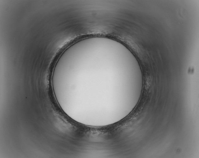 X0000094430632200711151343