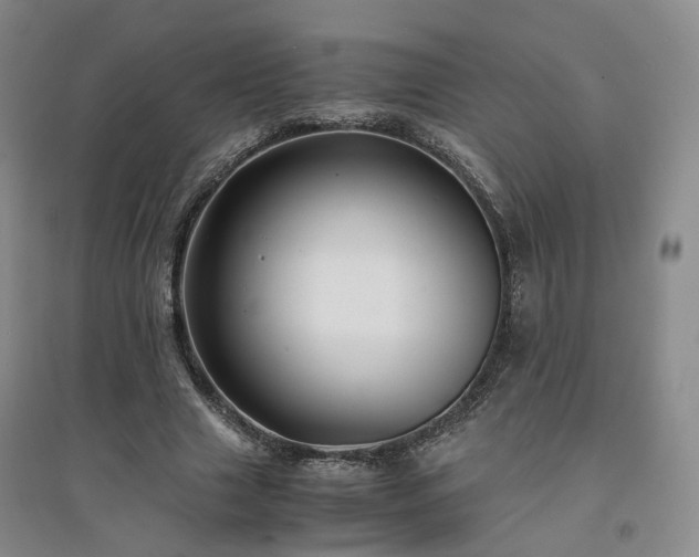 X0000094430633200711151343