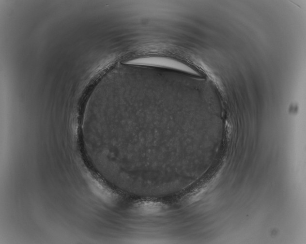 X0000094430637200711151343