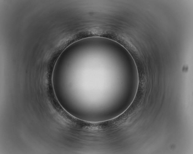 X0000094430639200711151343