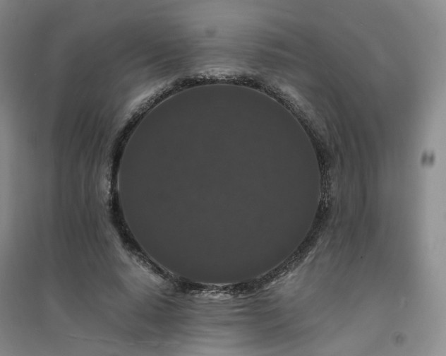 X0000094430640200711151343