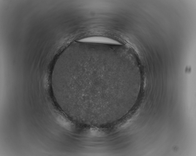 X0000094430641200711151343