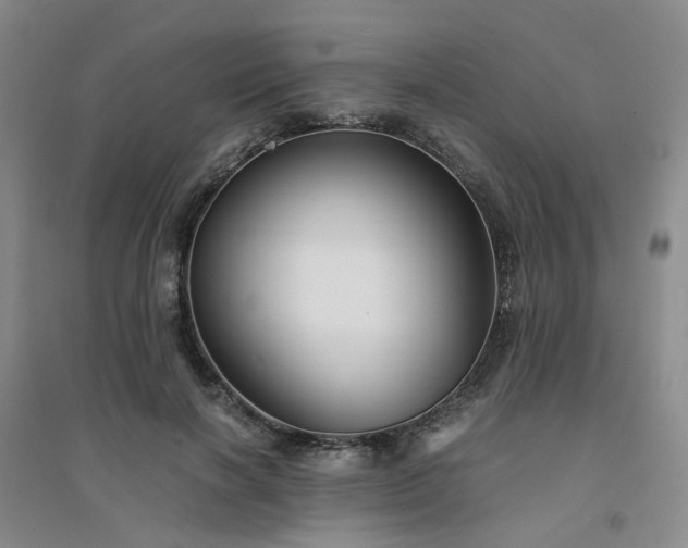 X0000094430646200711151343