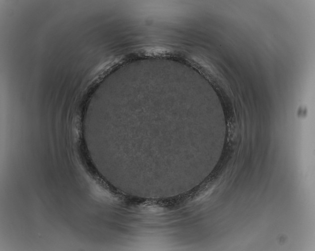 X0000094430648200711151343
